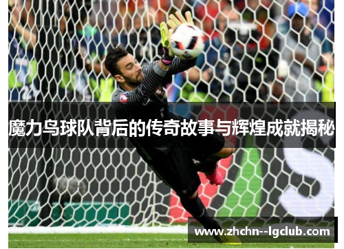 魔力鸟球队背后的传奇故事与辉煌成就揭秘